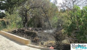 Incendio alimena