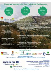 locandina-ii-training-course_forbioenergy-001