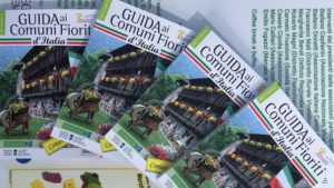 fioriti giornata fascino piante