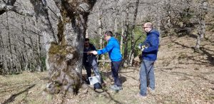 forbioenergy