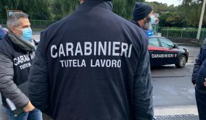 reddito cittadinanza